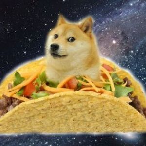 Meet your Posher, Amarjit